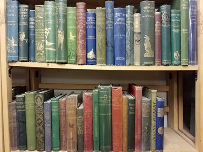 Lot 325 - Natural History. A collection of 19th-century 'picture cloth' natural history reference