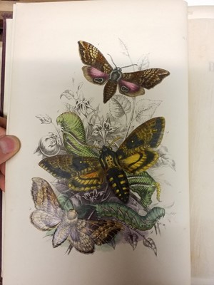Lot 325 - Natural History. A collection of 19th-century 'picture cloth' natural history reference