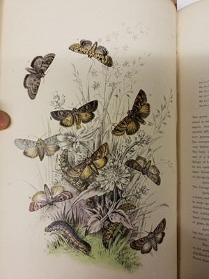 Lot 325 - Natural History. A collection of 19th-century 'picture cloth' natural history reference