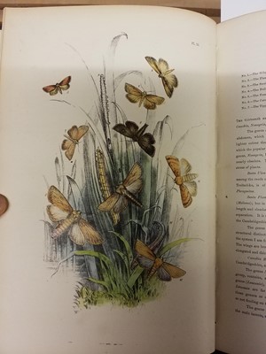 Lot 325 - Natural History. A collection of 19th-century 'picture cloth' natural history reference