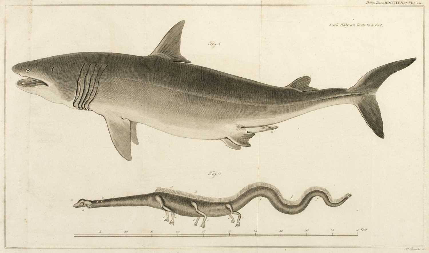 Lot 175 - Royal Society. Philosophical Transactions, 1796