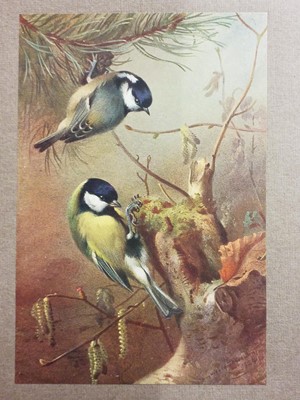 Lot 336 - British Ornithology. A collection of 19th & early 20th-century British ornithology reference