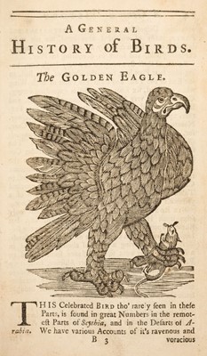 Lot 63 - Ornithologia Nova. A New General History of Birds, vol. 1, & Ornithologia Nova, vol. 2, 1745