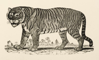 Lot 40 - Bewick (Thomas). Figures of Lion, Tiger, Elephant, and Zebra, 1799
