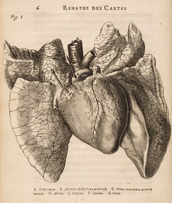 Lot 120 - Descartes (Rene). De Homine figuris et latinitate..., 1662