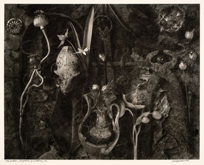Lot 288 - Blakemore (John, 1936-). "The Garden - Fragments of a History", 1991