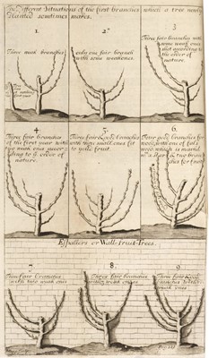 Lot 66 - La Quintyne (Jean de). The Compleat Gard'ner, 1710