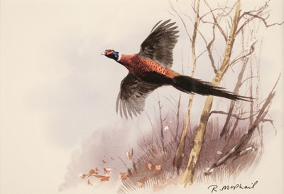 Lot 157 - McPhail (Roger). Six watercolours of Gamebirds, late 20th century