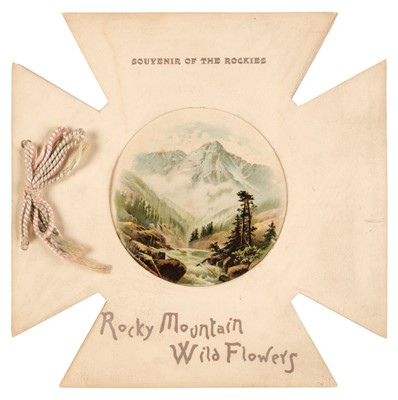 Lot 185 - Dried specimens. Souvenir of the Rockies, Rocky Mountain Wild Flowers, 1895