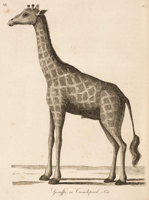 Lot 105 - Pennant (Thomas). History of Quadrupeds, 2 volumes, London: B. & J. White, 1793