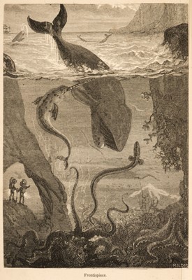 Lot 892 - Verne (Jules). Twenty Thousand Leagues Under The Sea, 1st edition in English, 1873
