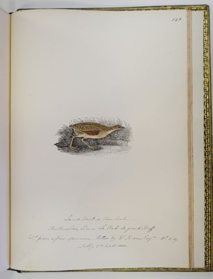 Lot 40 - Bewick (Thomas). British Land Birds/Water Birds/Quadrupeds, 1824-25