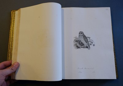Lot 40 - Bewick (Thomas). British Land Birds/Water Birds/Quadrupeds, 1824-25