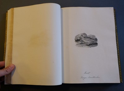 Lot 40 - Bewick (Thomas). British Land Birds/Water Birds/Quadrupeds, 1824-25
