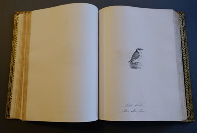 Lot 40 - Bewick (Thomas). British Land Birds/Water Birds/Quadrupeds, 1824-25