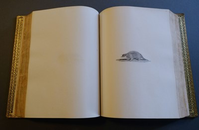 Lot 40 - Bewick (Thomas). British Land Birds/Water Birds/Quadrupeds, 1824-25