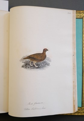 Lot 40 - Bewick (Thomas). British Land Birds/Water Birds/Quadrupeds, 1824-25