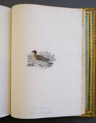 Lot 40 - Bewick (Thomas). British Land Birds/Water Birds/Quadrupeds, 1824-25