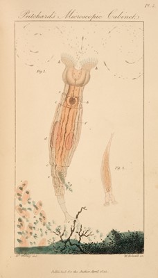 Lot 262 - Pritchard (Andrew). The Microscopic Cabinet of Selected Animated Objects... , 1st edition, 1832