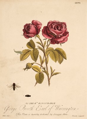 Lot 138 - Albin (Eleazar). A Natural History of English Insects..., 1724