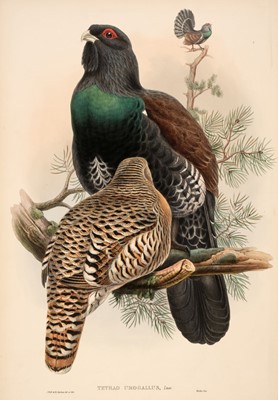 Lot 149 - Gould (John & Richter H. C.). A collection of five lithographs, circa 1850