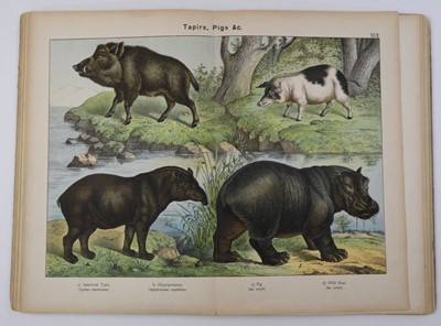 Lot 507 - Fuller (S. and J., publisher). The History of Little Fanny, 8th edition, 1811