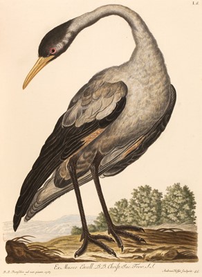 Lot 66 - Knorr (Georg Wolffgang). Deliciae naturae selectae, oder auserlesenes ..., 1766-1777