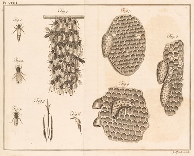 Lot 73 - Wildman (Thomas). A Treatise on the Management of Bees..., 1768