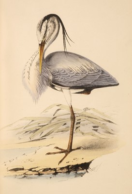 Lot 67 - Meyer (Henry Leonard). Coloured Illustrations of British Birds, 7 volumes, 1853-57