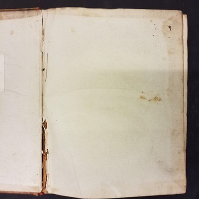 Lot 32 - Sparrman (Anders). A Voyage to the Cape of Good Hope, London: G.G.J. and J. Robinson, 1785