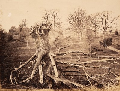 Lot 513 - Early Photography. A group of 17 salt and albumen prints, c. 1840s & 1850s