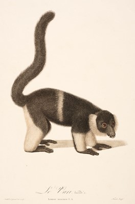 Lot 188 - Natural History. A mixed collection of approximately 125 prints & engravings, 18th & 19th century