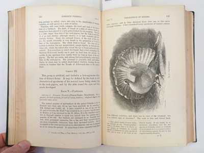 Lot 43 - Darwin (Charles). The Variation of Animals and Plants, 2 volumes, 1868
