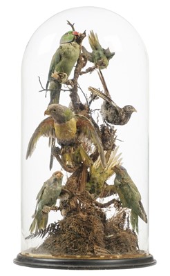 Lot 355 - Taxidermy. A late Victorian taxidermic diorama