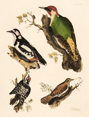 Lot 190 - Selby (John Prideaux). A collection of forty engravings of British Birds, 1818 - 23