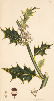 Lot 87 - Sowerby (James & Smith, James Edward). English Botany, 36 vols. in 18, London, 1790-1814