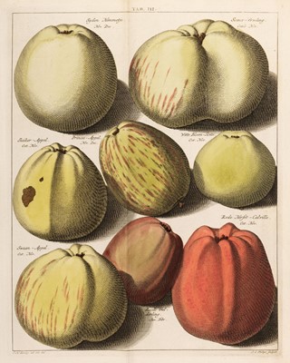 Lot 84 - Knoop (Johann Hermann). Pomologia, Fructologia, Dendrologia, 3 vols in 1, 1758