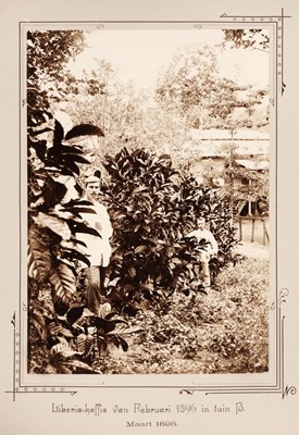 Lot 33 - Muller (S.). Naar en te Way-Lima en Kedongdong. 68 Photo's uit de Lampongs, Rotterdam, [1898]