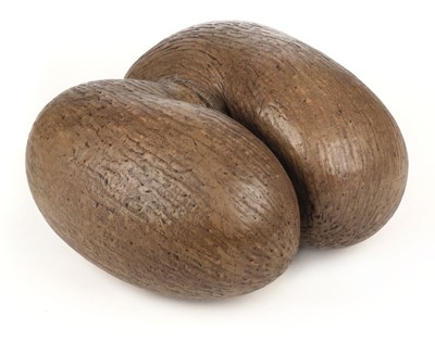 Lot 319 - Coco de Mer. A fine and rare example a complete 'blonde' Coco de Mer