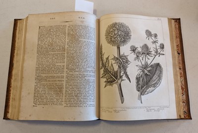 Lot 58 - Dickson (R.W.)A Complete Dictionary of Practical Gardening, 2 volumes, 1807