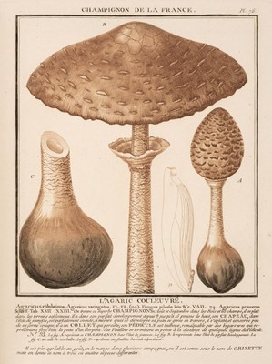 Lot 52 - Bulliard (Jean Baptiste Francois). Histoire des Champiogns de France, 3 volumes, 1780-1812