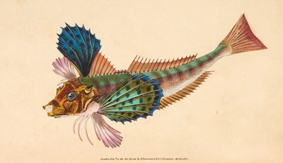 Lot 61 - Donovan (Edward). The Natural History of British Fishes, 5 volumes, 1802-08