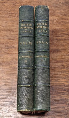 Lot 53 - Curtis (John). British Entomology, 8 volumes, 1823-40