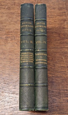 Lot 53 - Curtis (John). British Entomology, 8 volumes, 1823-40