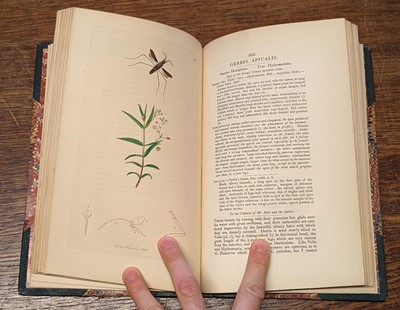 Lot 53 - Curtis (John). British Entomology, 8 volumes, 1823-40