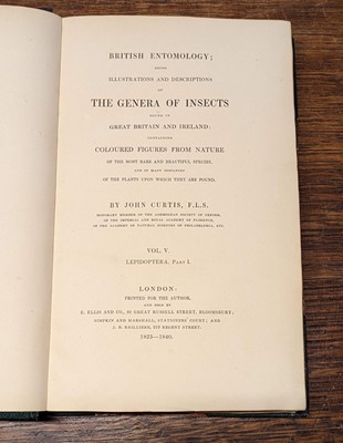 Lot 53 - Curtis (John). British Entomology, 8 volumes, 1823-40