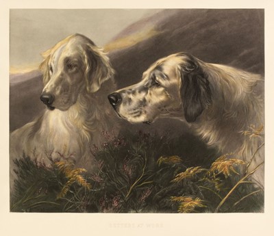 Lot 144 - Prints & Engravings. A collection of approximately 80 engravings, 20th-century restrikes
