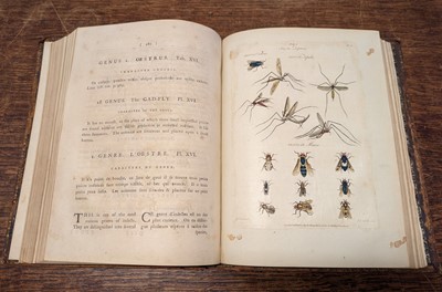 Lot 69 - Barbut (Jacques). Les Genres des Insectes de Linne ... echantillons d'Insectes d'Angleterre, 1781