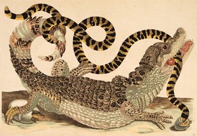 Lot 79 - Merian (Maria Sybilla). Dissertatio de Generatione, 1719