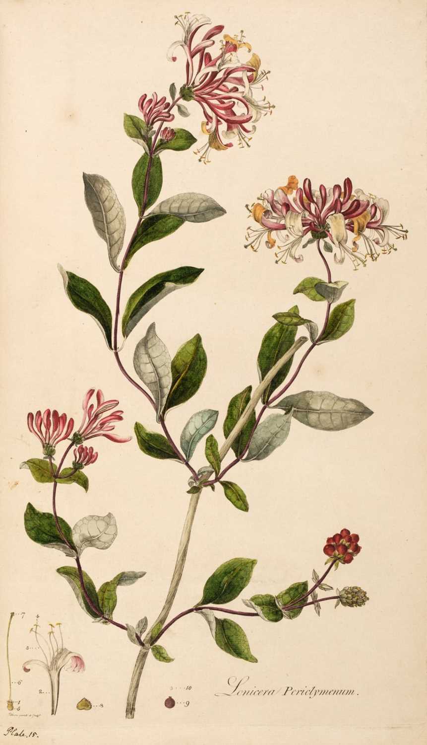 Lot 54 - Curtis (William). Flora Londinensis, 2 volumes bound in 6, 1st edition, 1777-1798